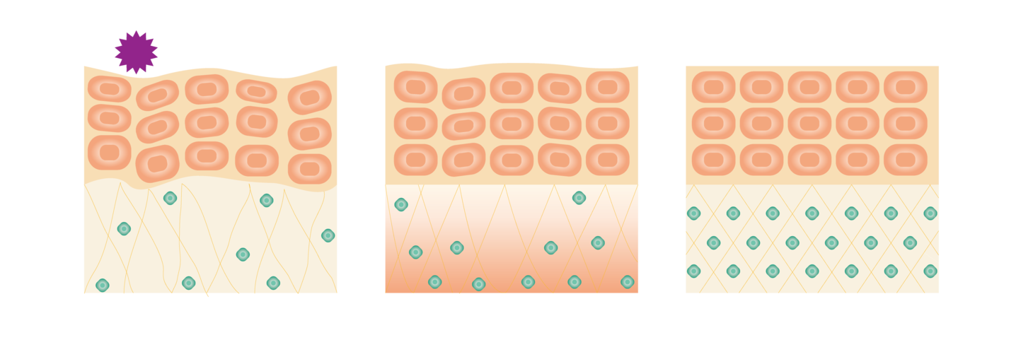 ナノミストバスうるおい肌